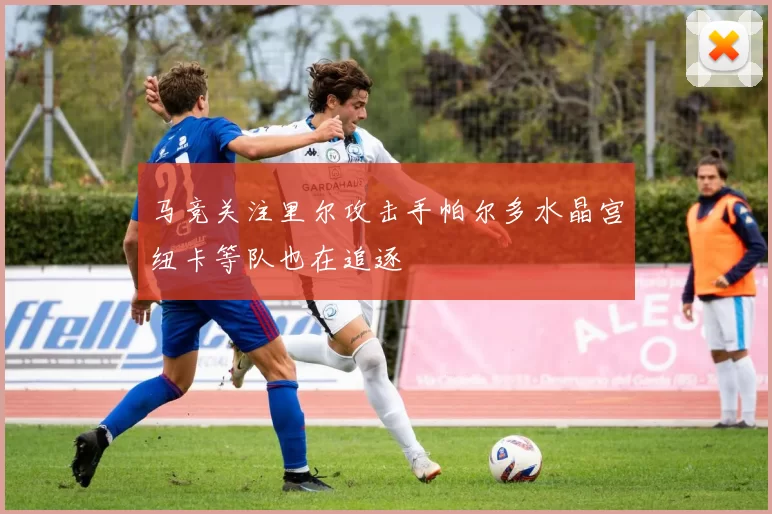 马竞关注里尔攻击手帕尔多水晶宫纽卡等队也在追逐